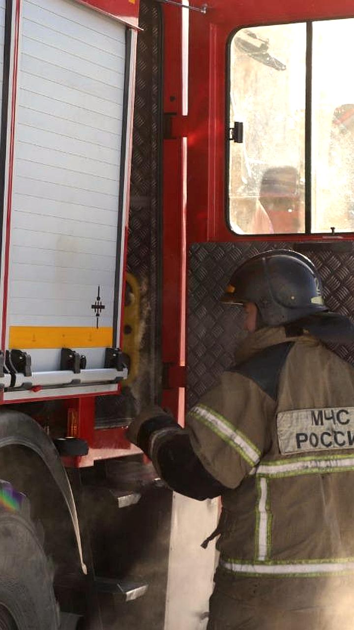 Пожар в коровнике в Якутии унес жизни 56 голов скота