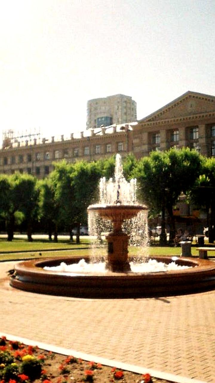 Светлана Белобородская выиграла контракт на озеленение Читы