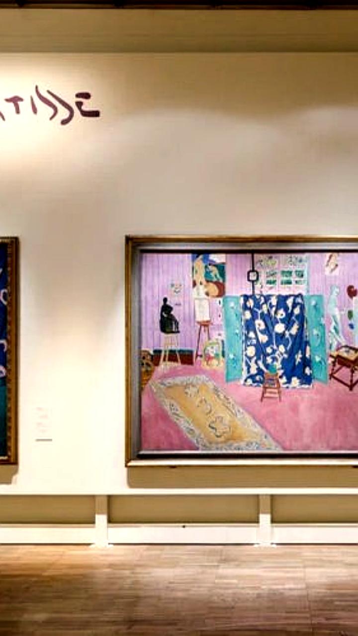 Выставка Матисс и Пикассо в Третьяковке: диалог европейского и русского авангарда