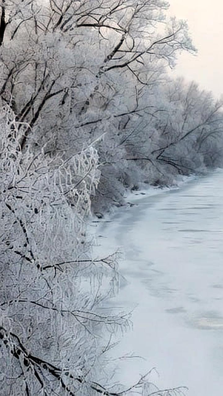 Уровень воды в реке Урал поднялся на 9 см в районе Орска из-за увеличения сброса с Ириклы
