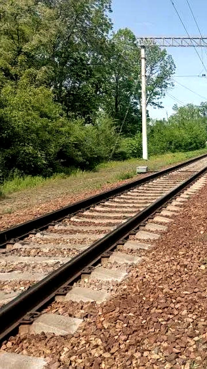 Приостановлено движение поездов в Амурской области из-за схода вагона