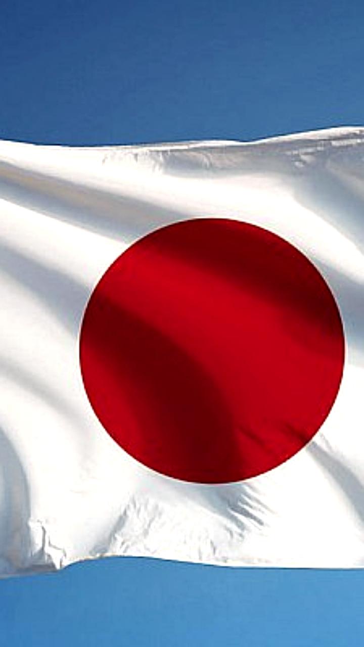 Япония вводит запрет на использование пауэрбанков в самолетах с апреля