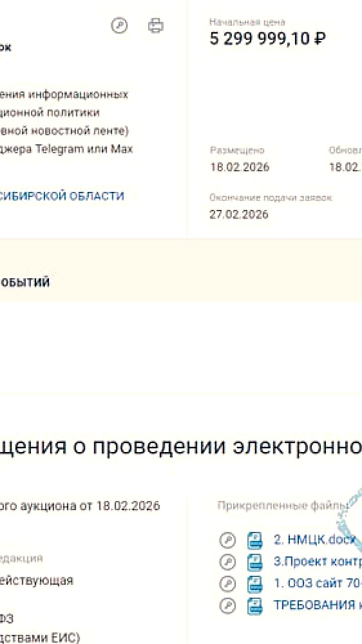 Новосибирские власти выделили 5,3 млн рублей на продвижение в Telegram