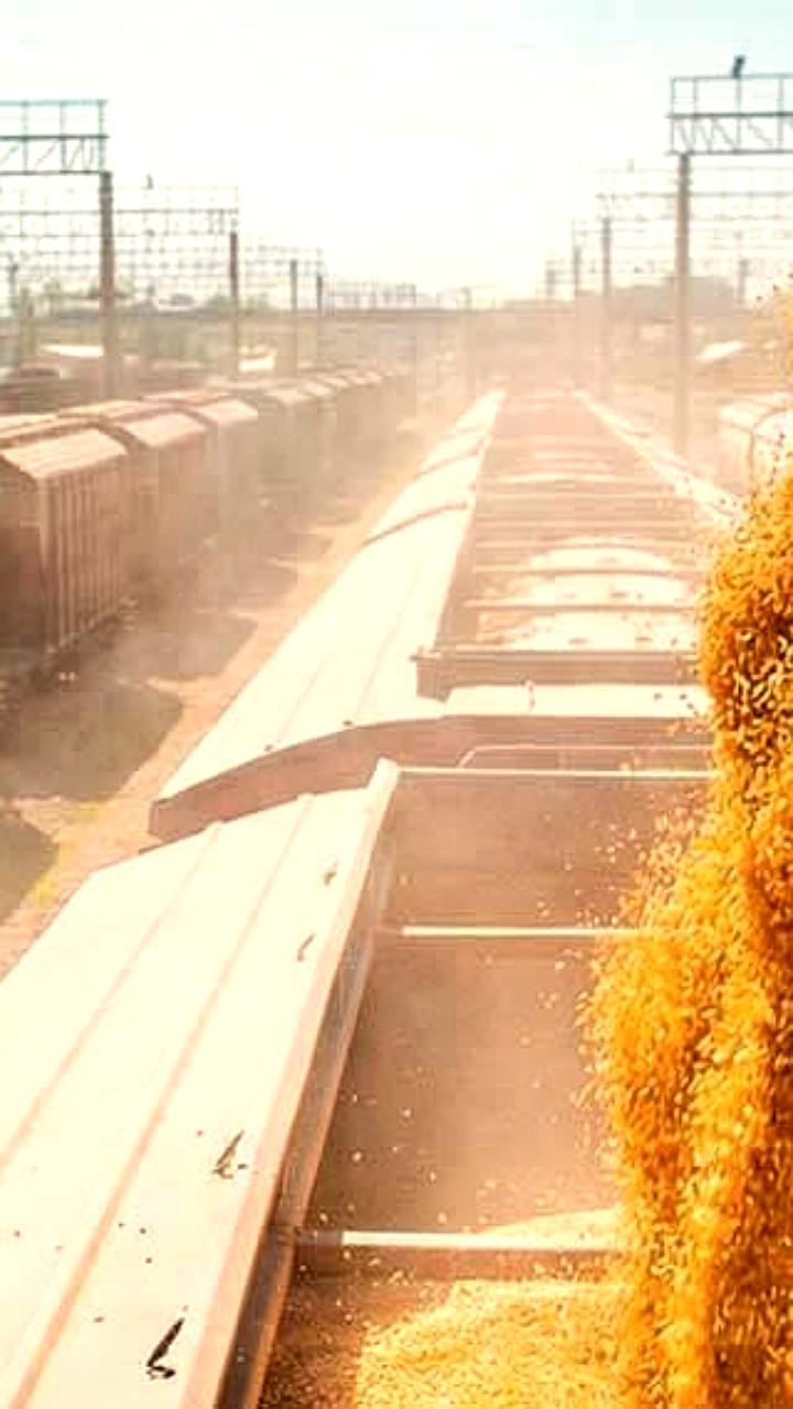 Экспорт российской продукции АПК достиг рекорда в 41,6 млрд долларов