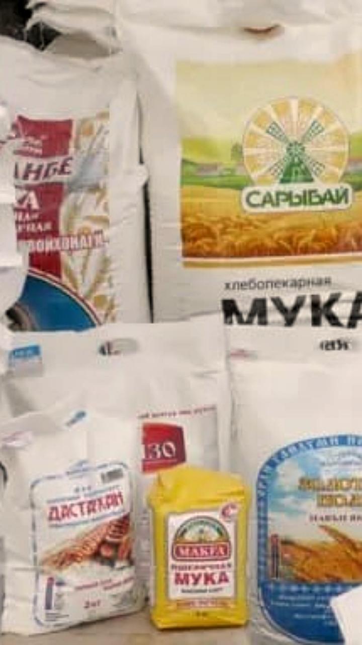 Казахстан сокращает импорт российской пшеницы на фоне роста экспорта кормовой муки в Китай