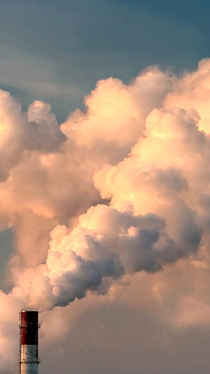 Минэкономразвития России адаптирует углеродные проекты к международным стандартам