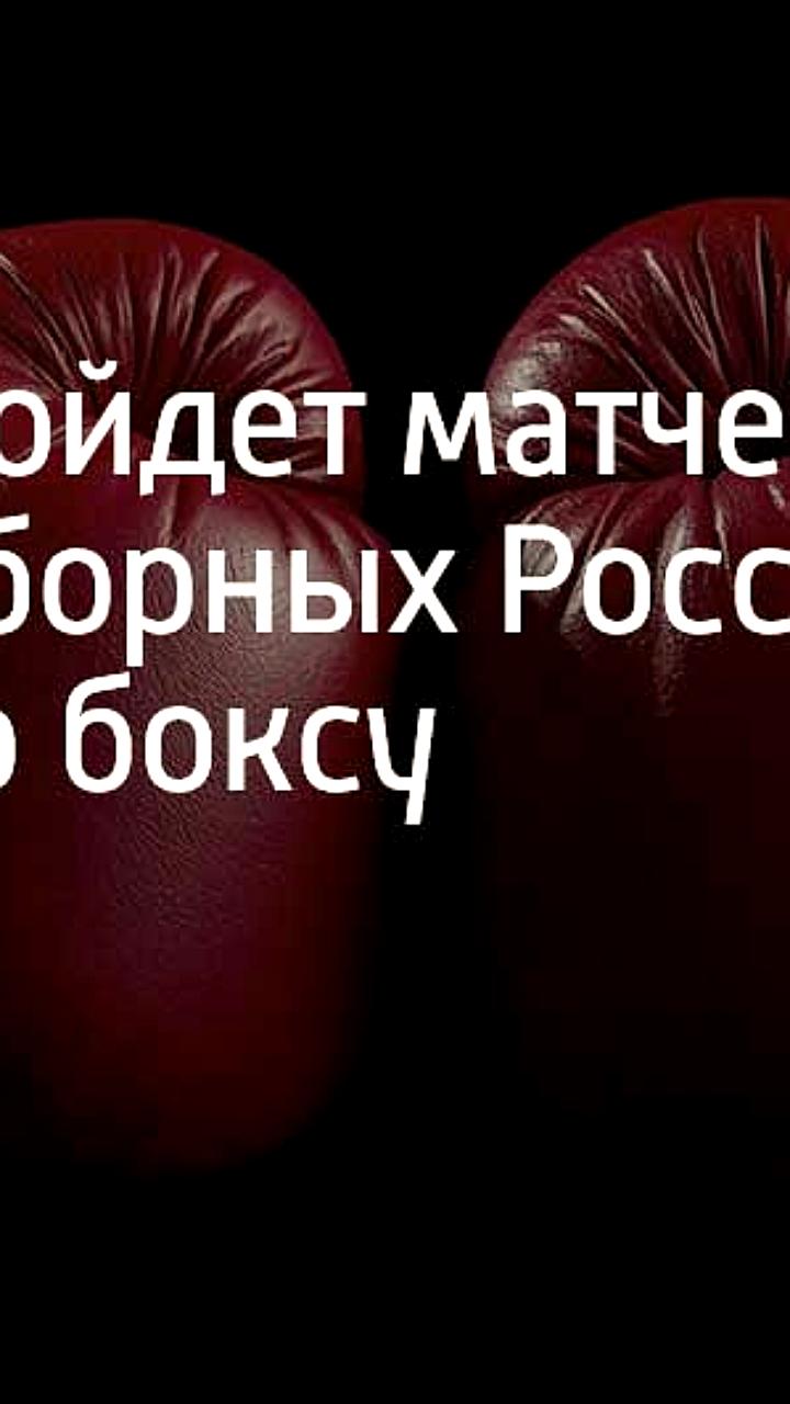 Международная матчевая встреча по боксу между Россией и Сербией пройдет в Сочи 22 февраля