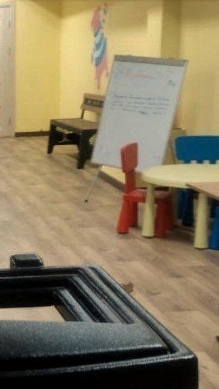 В Ярославле Россельхознадзор предостерег владельца антикафе из-за нарушений в содержании мини свиней