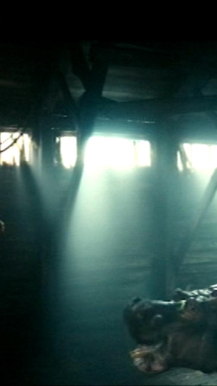 Фильм 'Красавица' о блокадном Ленинграде стартует в прокате