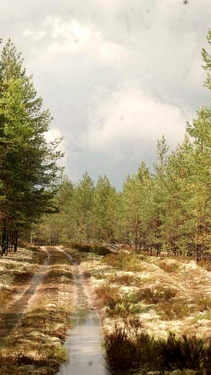 Обсуждение мер по борьбе с лесными пожарами и ответственности виновных