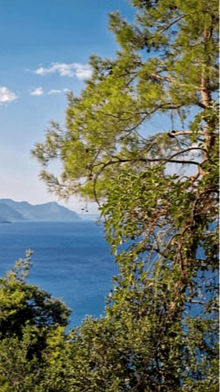 Российские туристы выбирают Турцию, ОАЭ и Китай на 23 февраля