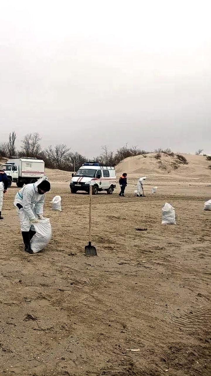 Масштабная уборка пляжей Сочи после шторма: 350 человек на восстановлении
