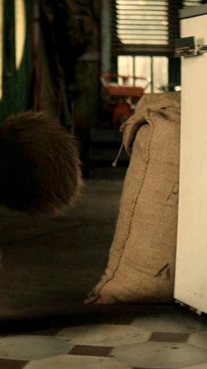 Чебурашка 2 достиг 6 миллиардов рублей сборов за два месяца проката