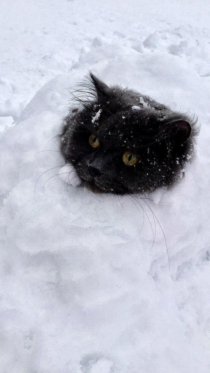 Неблагоприятные погодные условия ожидаются в Санкт-Петербурге 22 февраля
