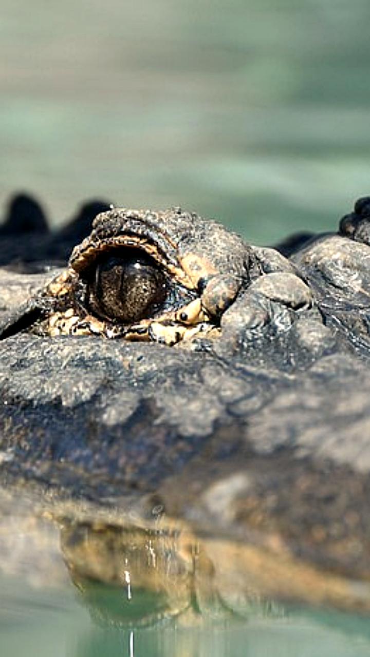 Проверки контактных зоопарков в Воткинске и Екатеринбурге выявили серьезные нарушения