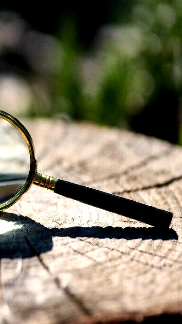 Сезон активности клещей в Беларуси начинается при 5°C