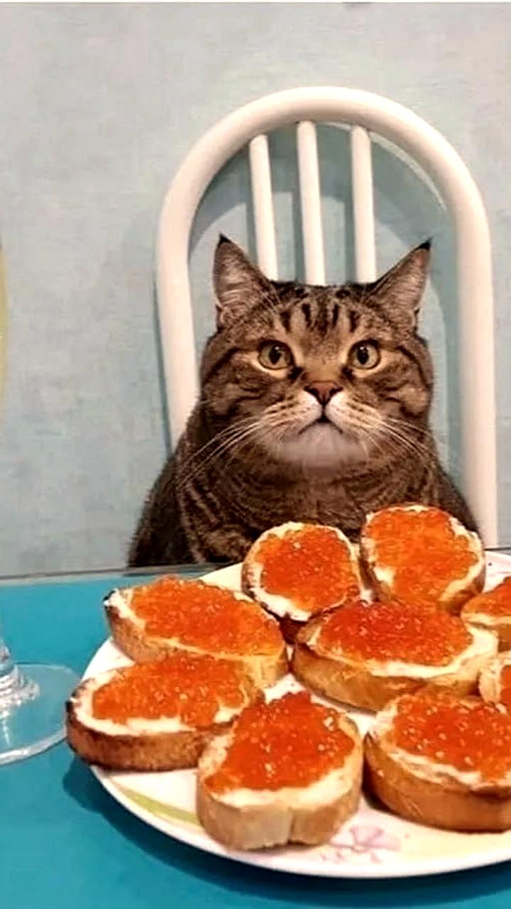 Икра горбуши возглавила продажи в России в начале 2023 года