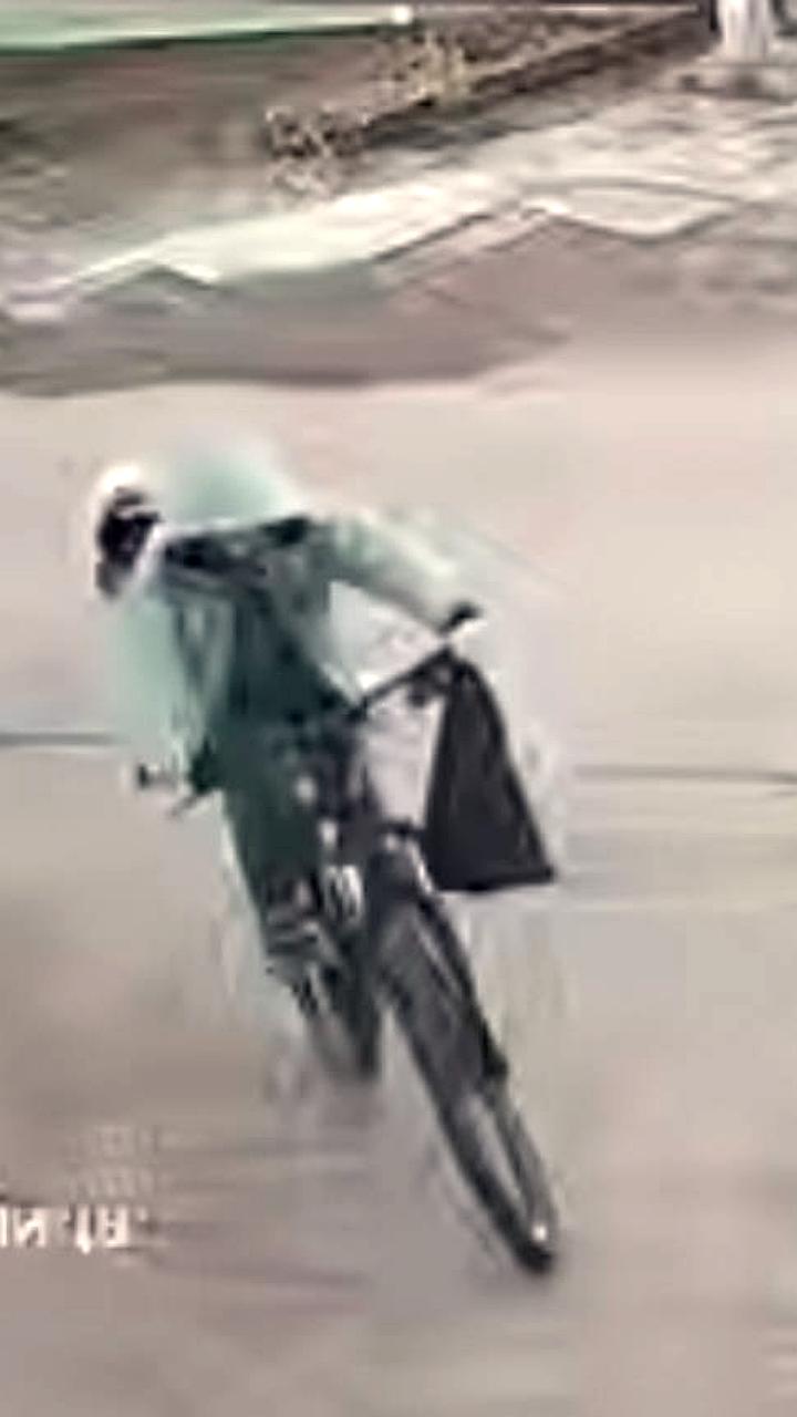 Собаки напали на детей в Сегеже и Ессентуках: возбуждено уголовное дело