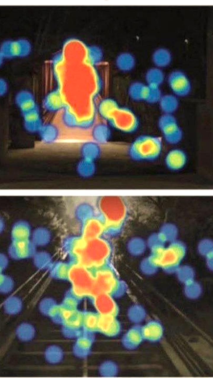 Исследование выявило различия в восприятии мужчин и женщин