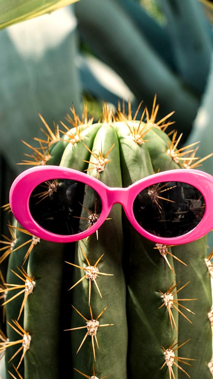 В Нижегородской области создадут реестр опасных растений