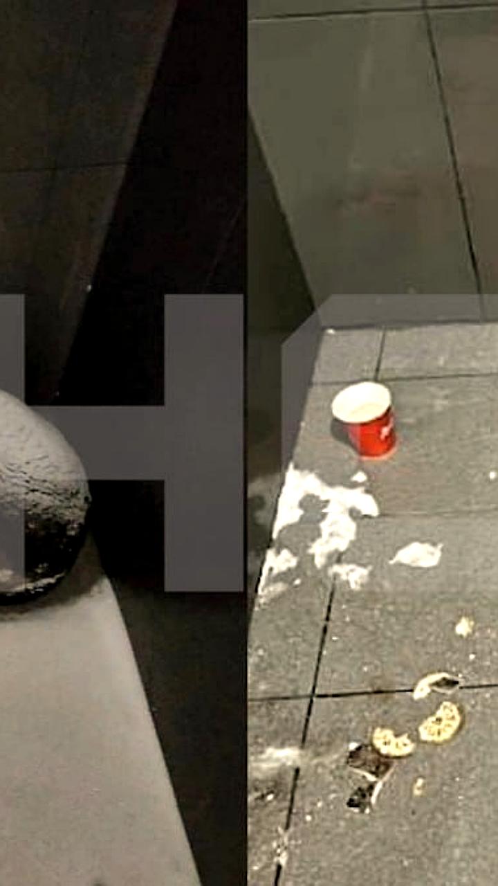 Увольнение курьера в Челябинске из-за укрытой собаки вызывает общественный резонанс