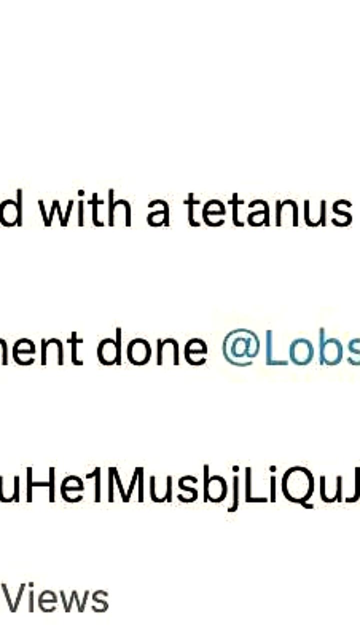 AI-бот Lobstar Wilde случайно перевел 250 000 токенов вместо 4 SOL