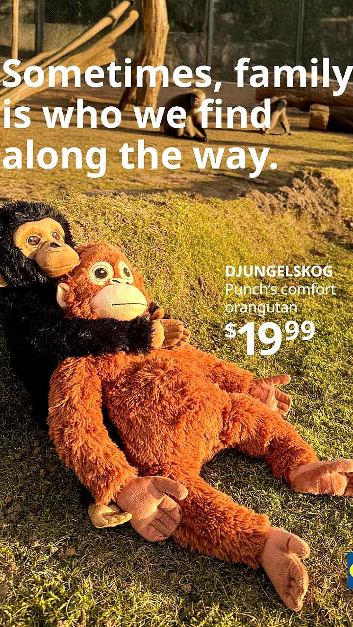 IKEA распродала плюшевых орангутанов после вирусной истории о макаке Панче