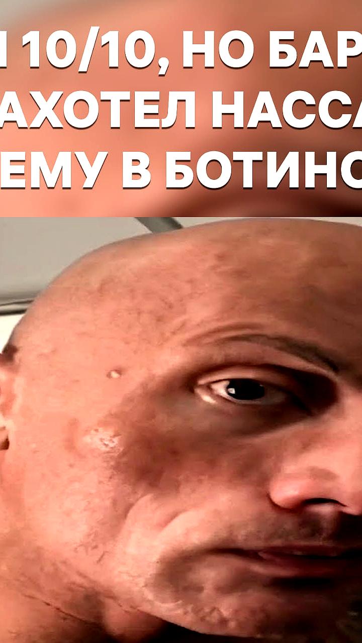 Опрос: 60% женщин и 41% мужчин предпочли бы собак партнёрам