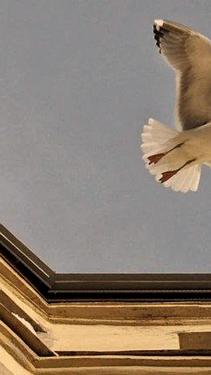 Потепление в Петербурге: температура достигнет 0°C к концу недели