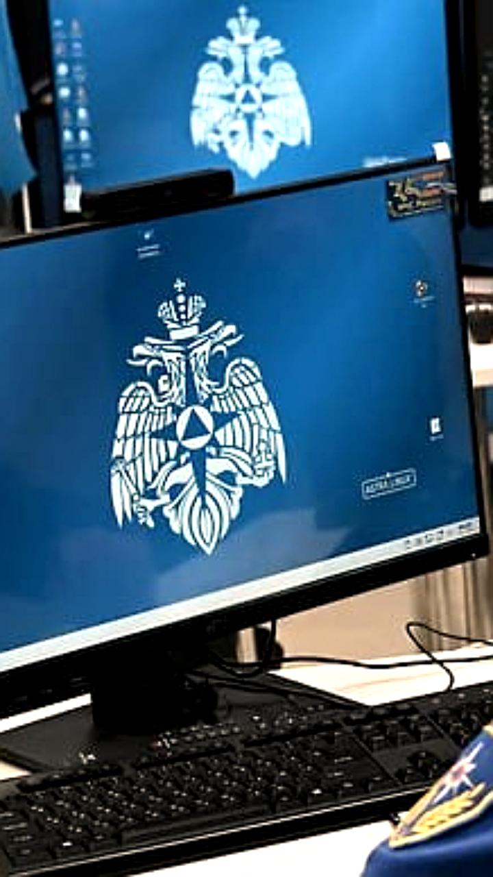 Бизнес предлагает доступ к базам МВД для улучшения антифрод систем