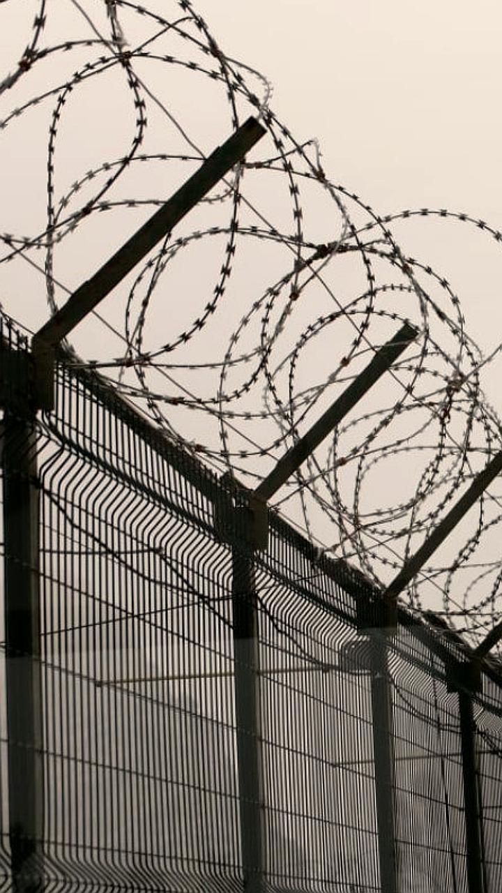 В Узбекистане стартует проект 'Второй шанс' для адаптации молодежи из мест лишения свободы