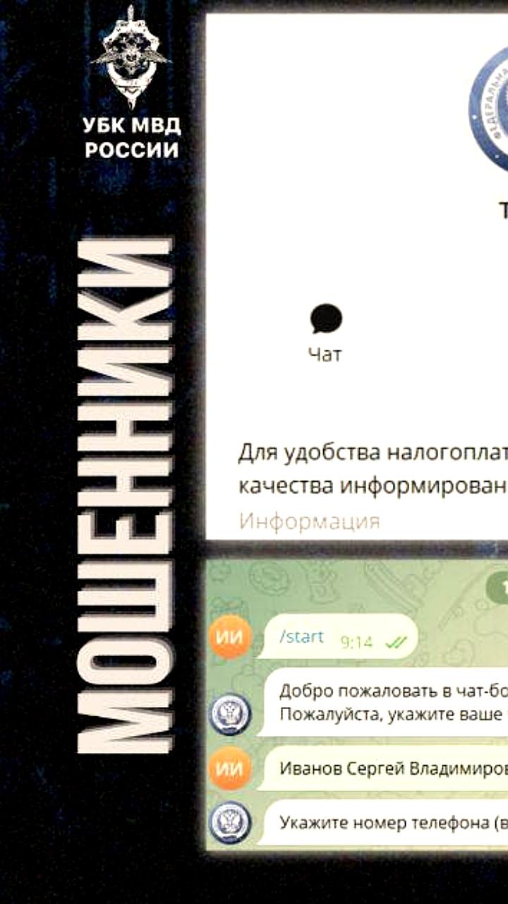 Киберполиция и МВД предупреждают о поддельном чат-боте ФНС России