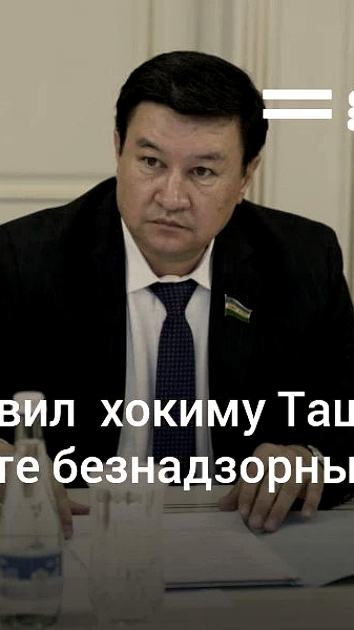 Запрос сенатора о защите бездомных животных в Ташкенте