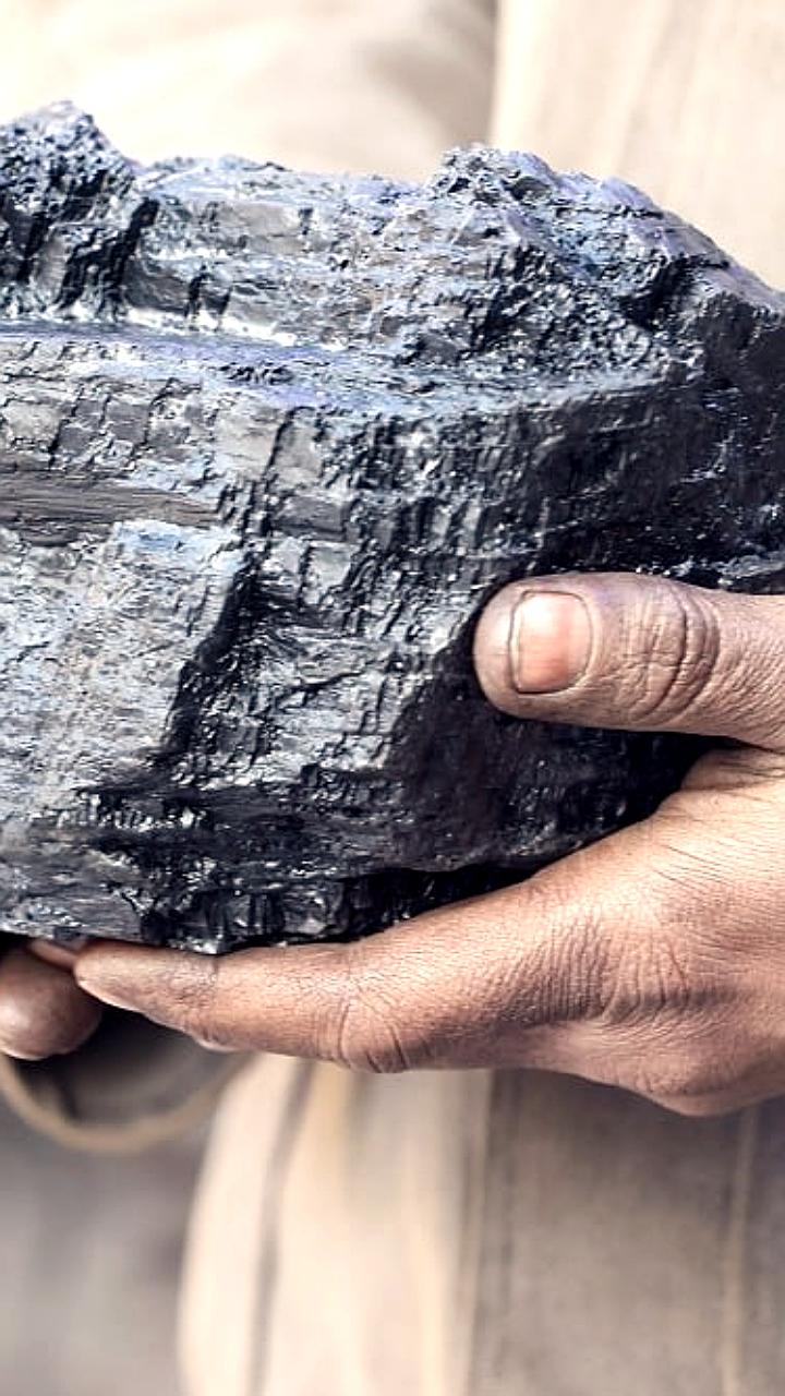 Граждане Монголии получат дивиденды от продажи угля