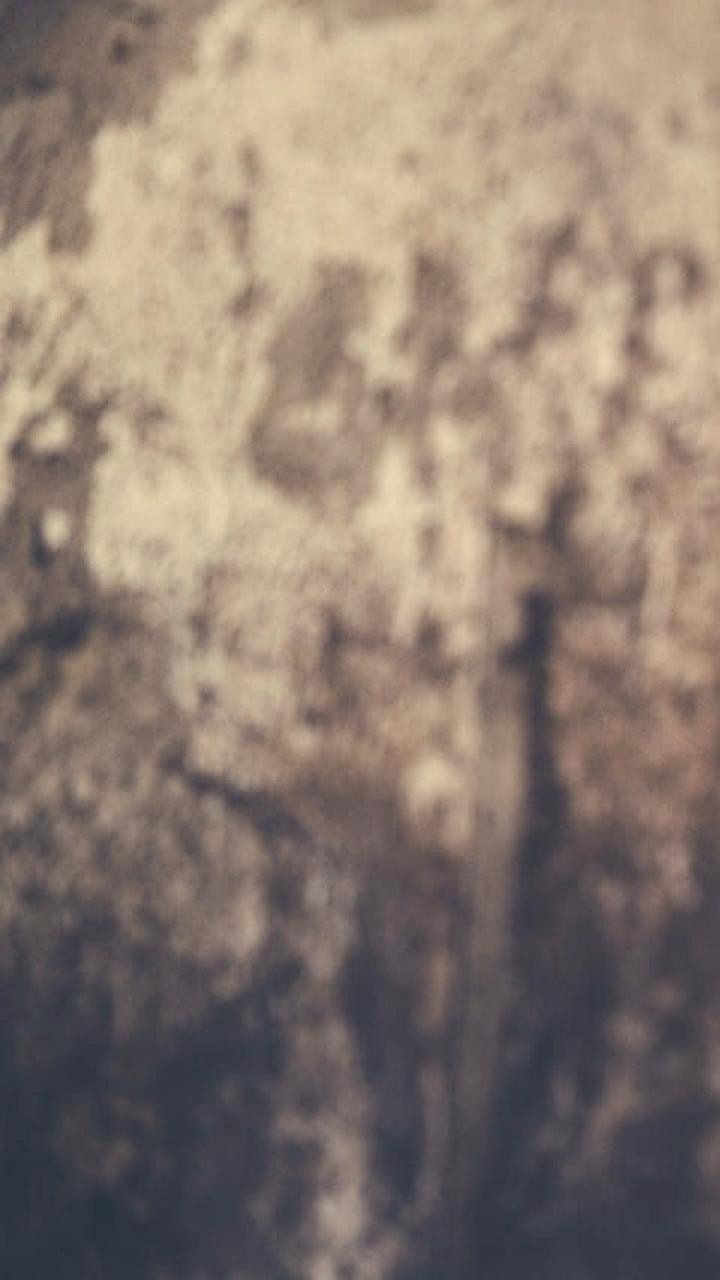 В Алтайском крае мужчина убил отца после ДТП с жертвой