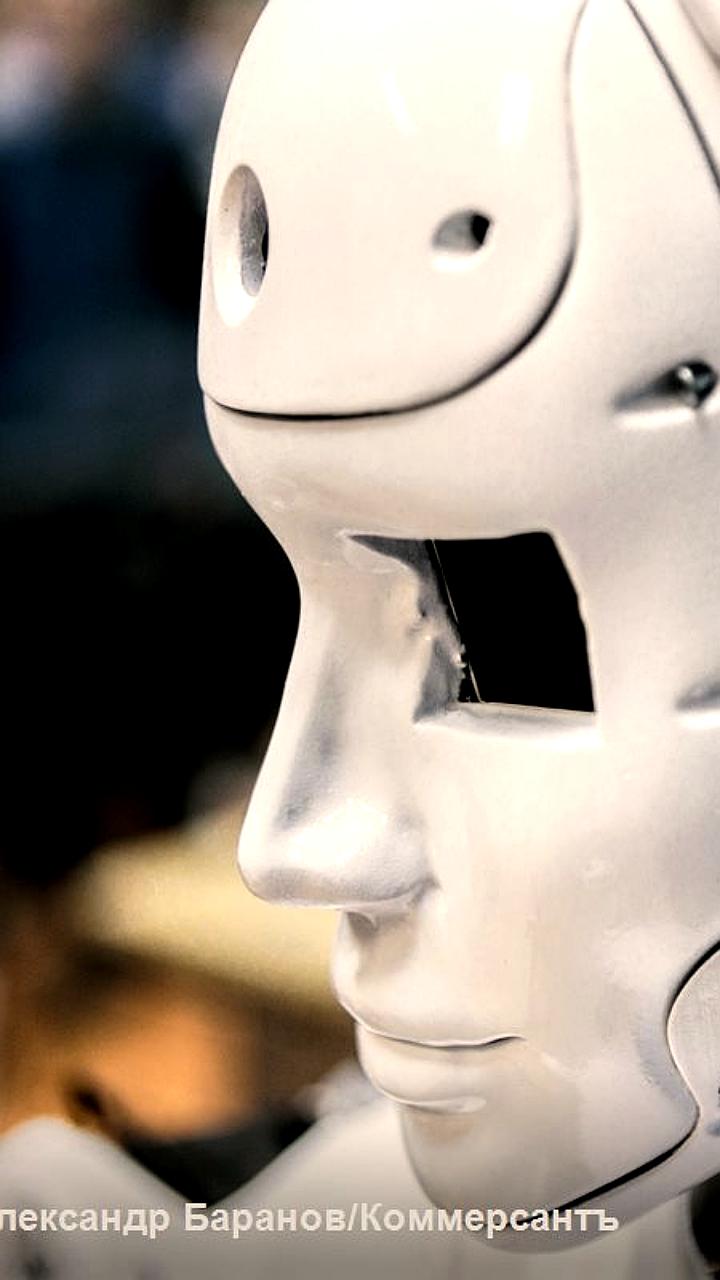 В Госдуме обсудили меры по защите традиционных ценностей и ограничению деструктивного контента