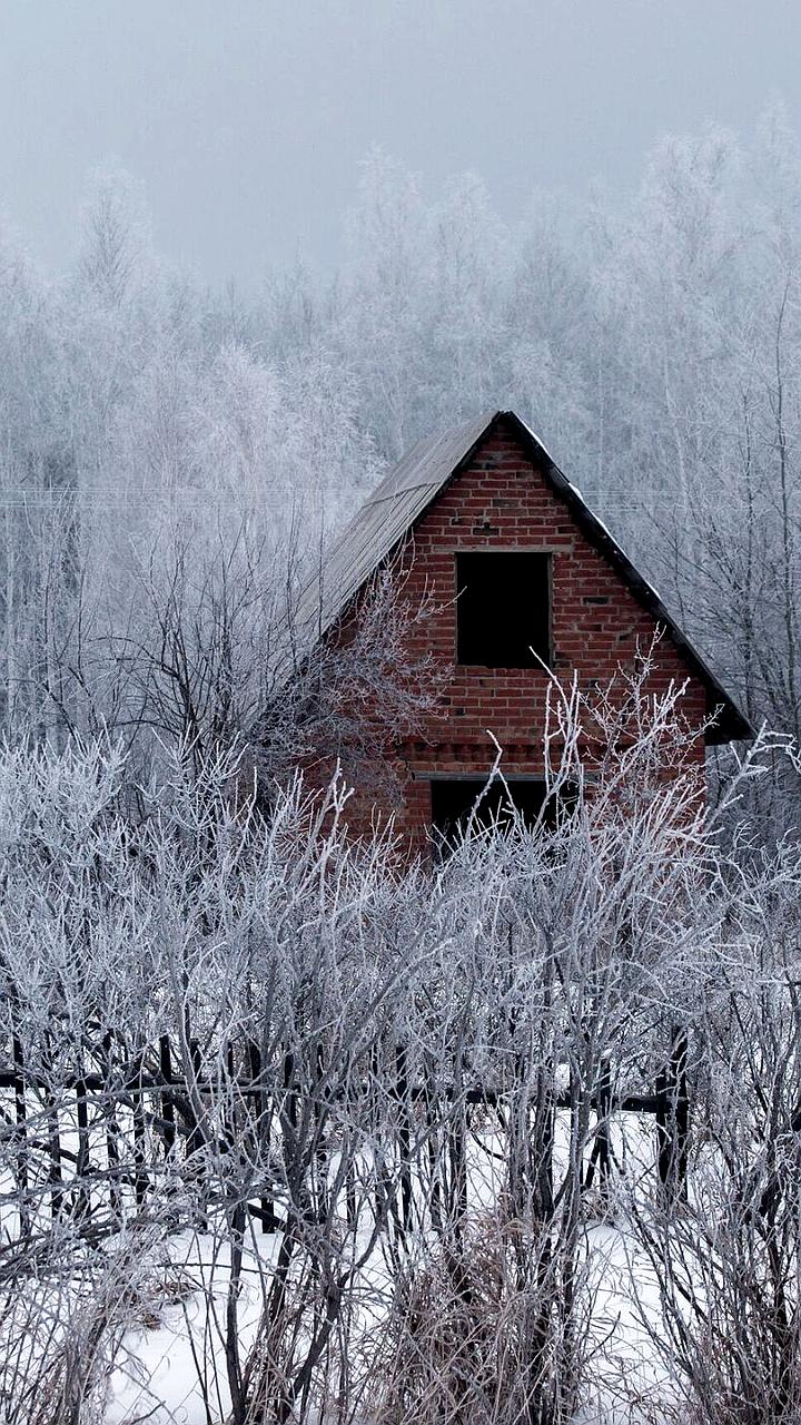 Кассационный суд подтвердил обязанность освобождения самовольно занятого земельного участка
