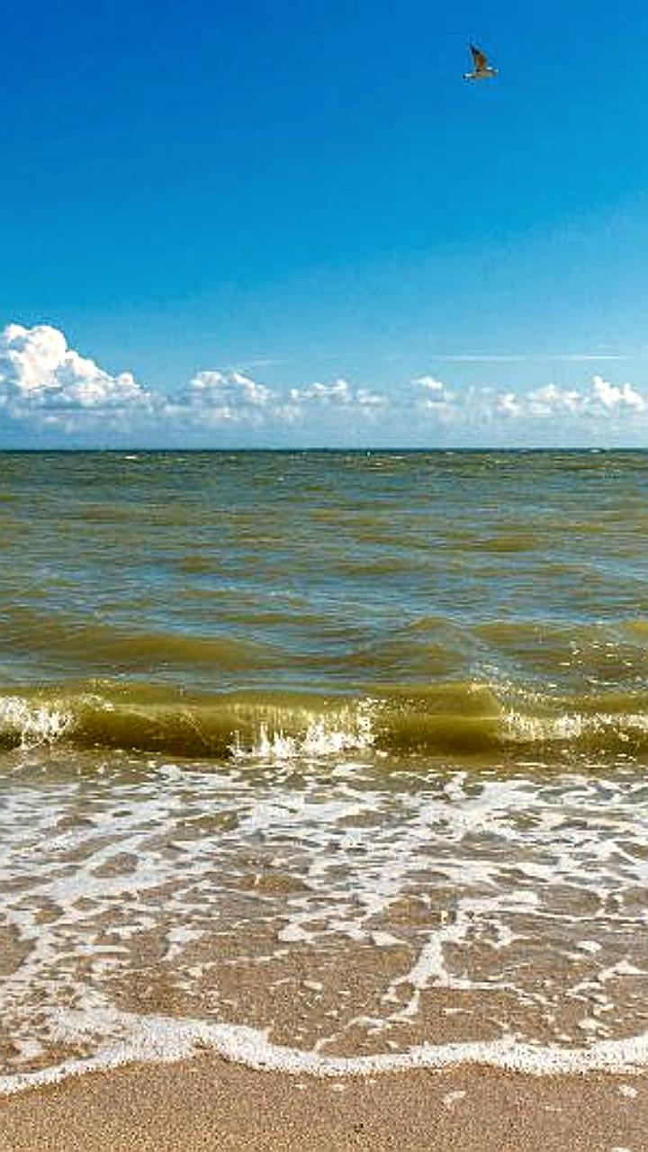 Утвержден генеральный план развития Новоазовского округа с акцентом на туризм