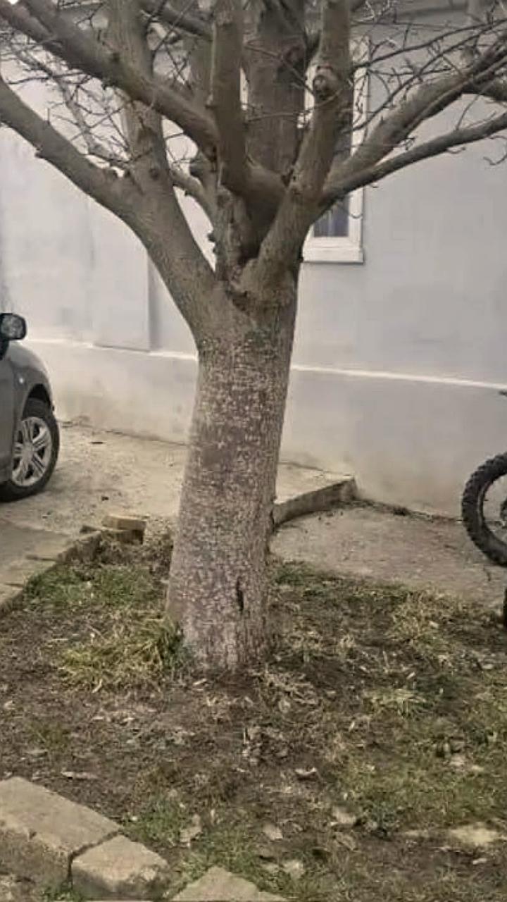 В Ставрополе подросток пострадал в ДТП на питбайке