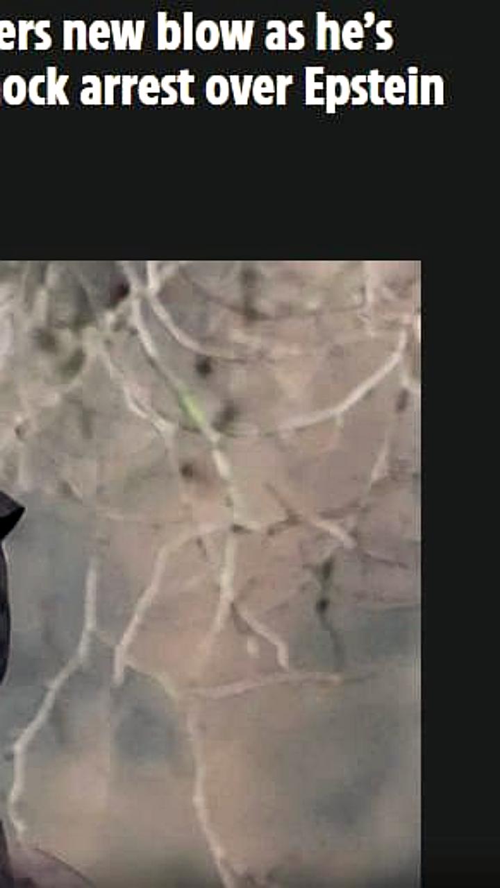 Экс-принцу Эндрю запретили верховую езду из-за имиджа