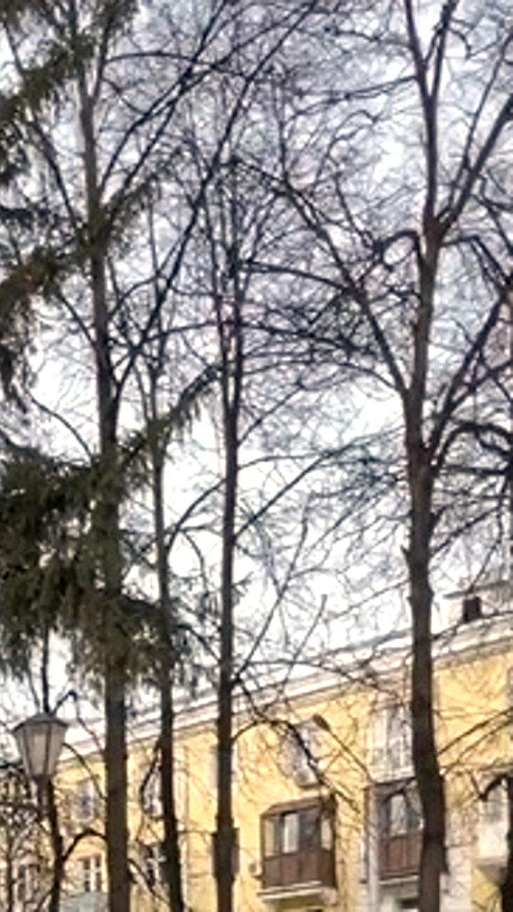 В Уфе открыт памятник архитектору Маргарите Куприяновой