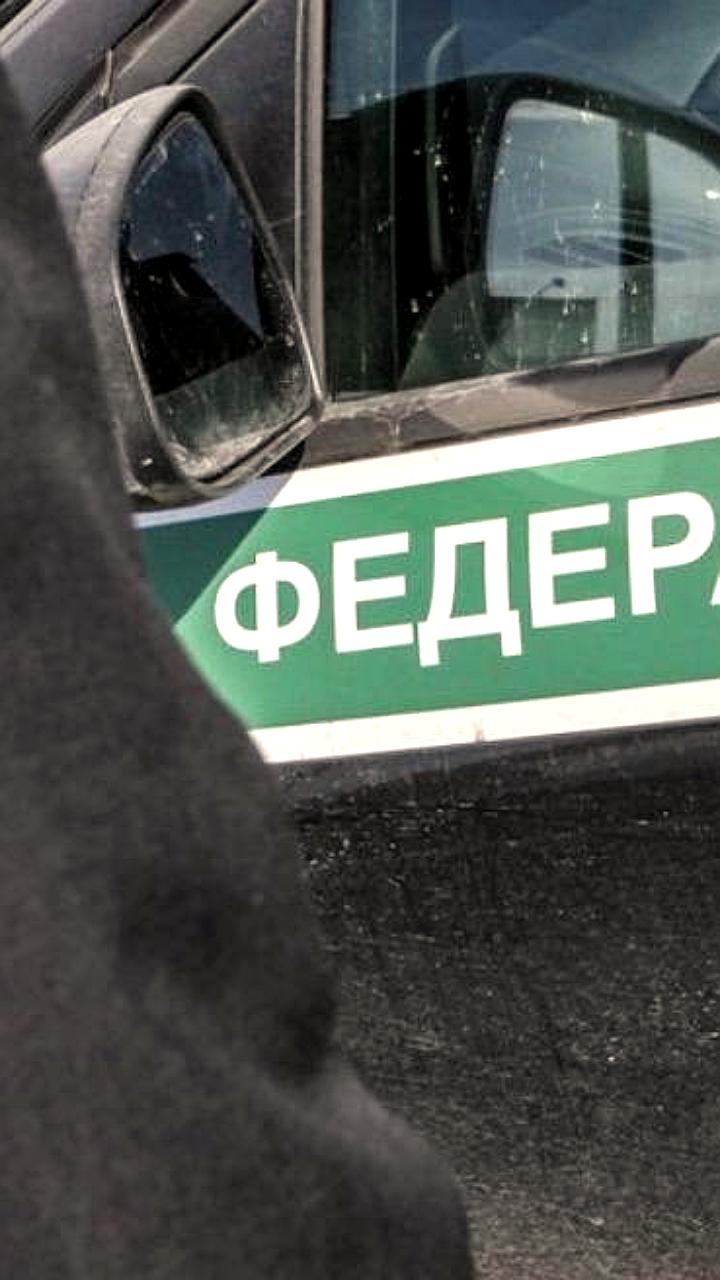В реестр должников по алиментам вошли 9500 жителей Петербурга и Ленобласти