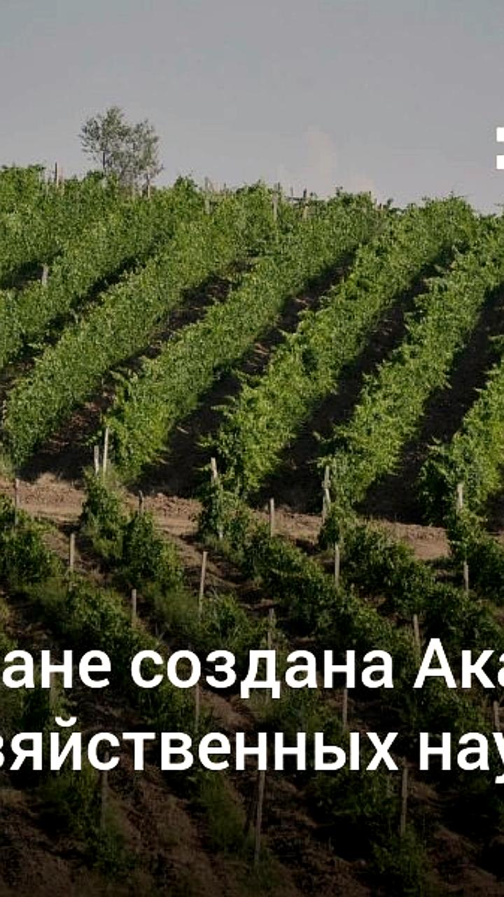 Создание Узбекской академии сельскохозяйственных наук для координации исследований в агросекторе