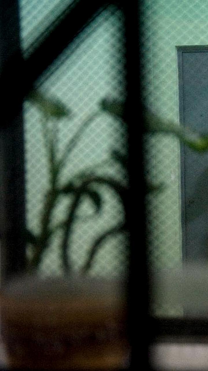 В Подмосковье возобновляют работу вытрезвителей после 15-летнего перерыва