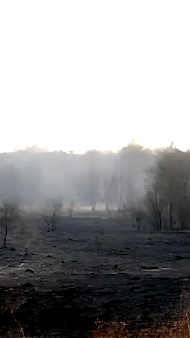 В Калининградской области зарегистрированы 234 случая пала травы с начала марта