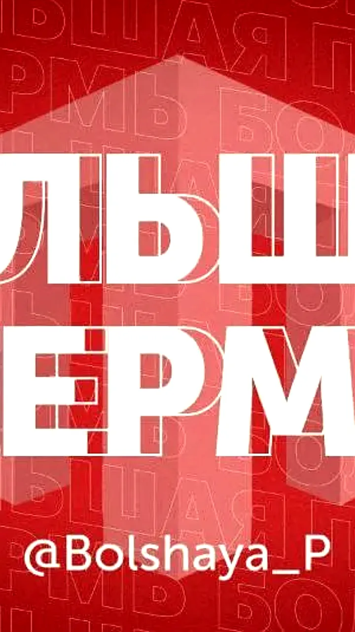В Лысьве стаффордширский терьер напал на пенсионерку, возбуждено уголовное дело