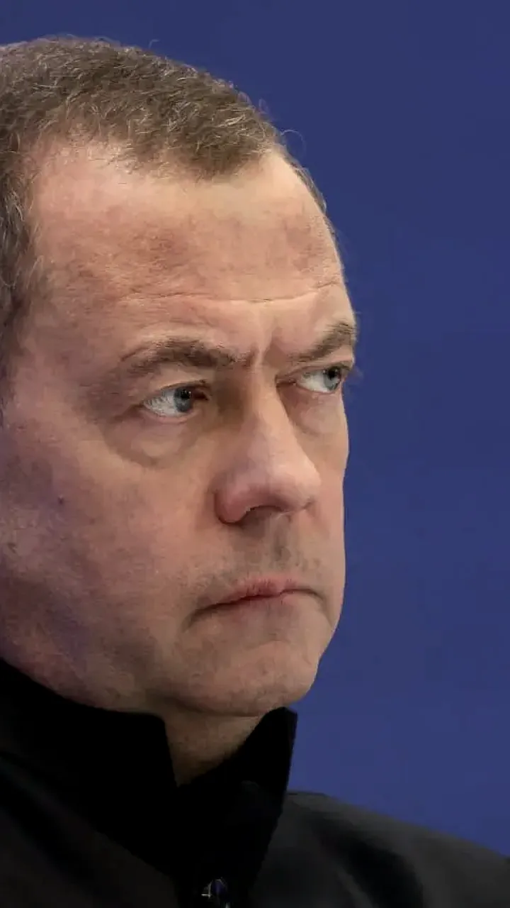 Переговоры Пашиняна и Зеленского в Ереване: комментарий Медведева