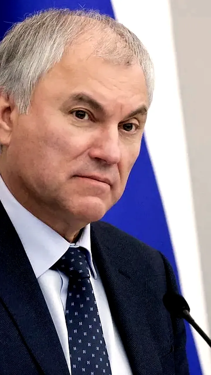 Вячеслав Володин сообщил о снижении мошенничества благодаря новым законам