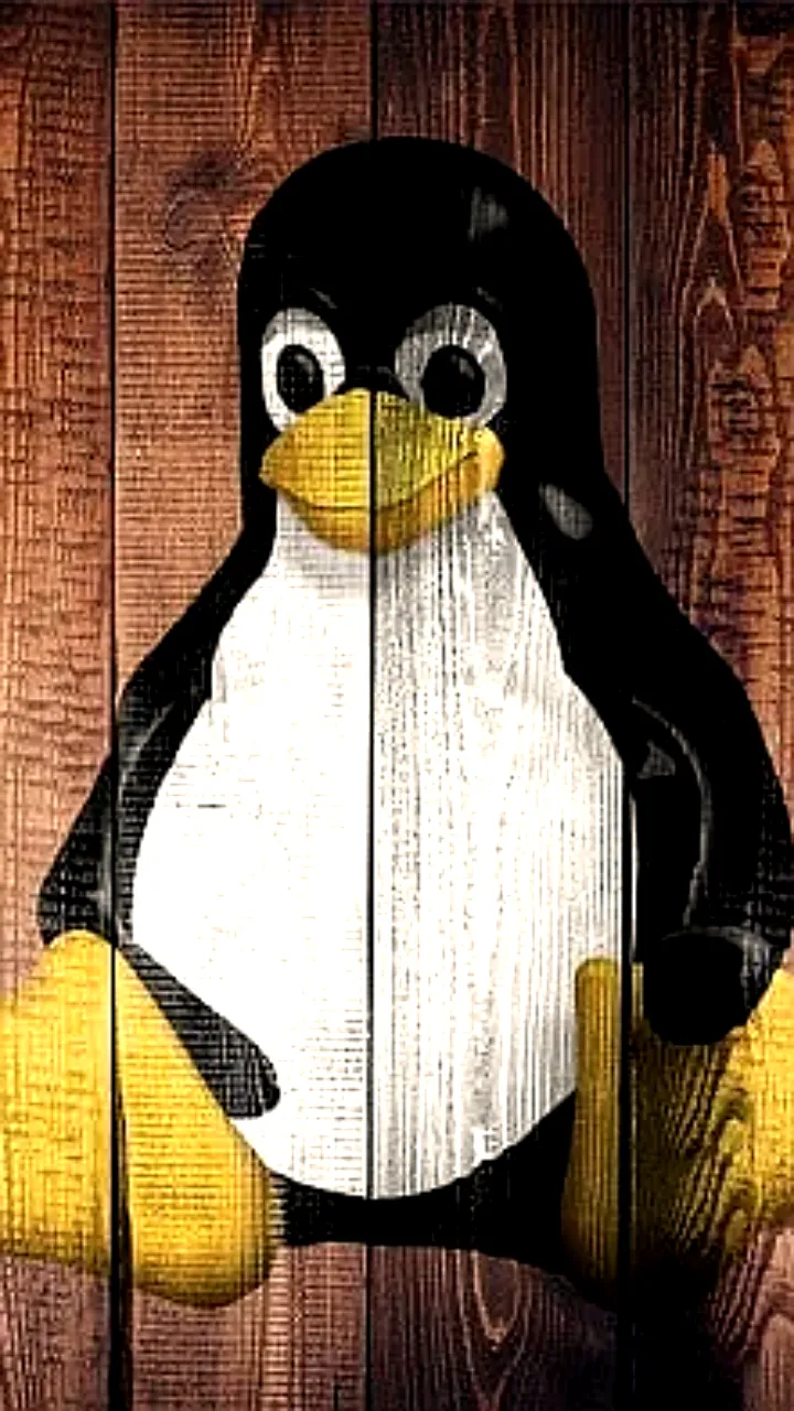Обнаружена уязвимость Copy Fail в ядре Linux, угрожающая безопасности дистрибутивов