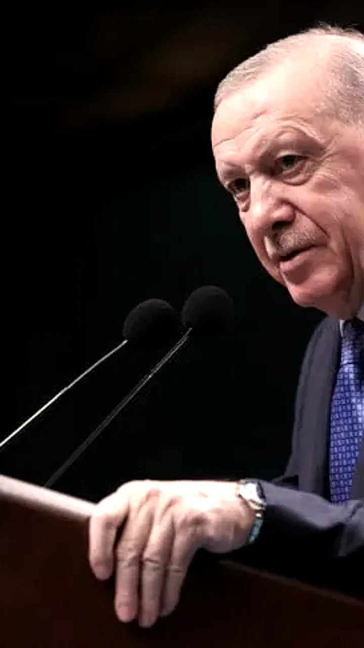 Президент Эрдоган подчеркивает стабильность Турции и критикует ЕС после заседания кабинета